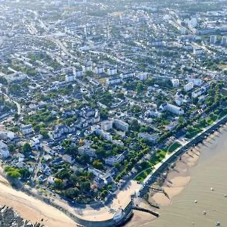 The Wild I Close To Downtown And The