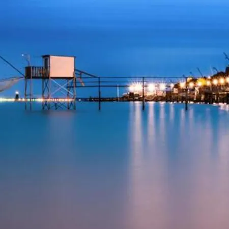 The Wild I Close To Downtown And The דירה *