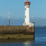 The Wild I Close To Downtown And The Daire