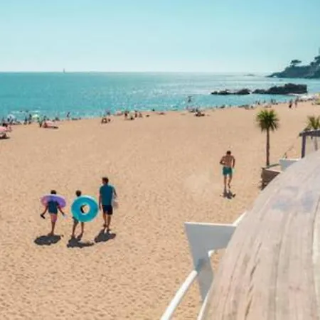 The Wild I Close To Downtown And The *