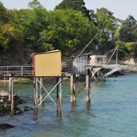 The Wild I Close To Downtown And The *