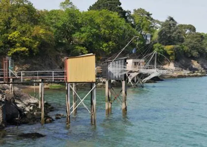 The Wild I Close To Downtown And The *