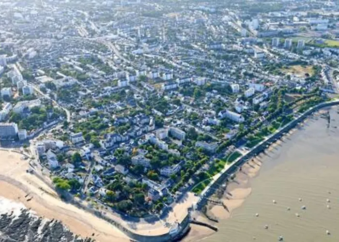 The Wild I Close To Downtown And The